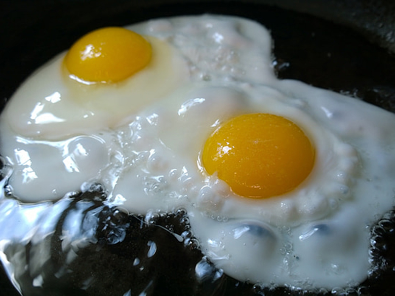 蛋白质检测仪适合现场及实验室使用