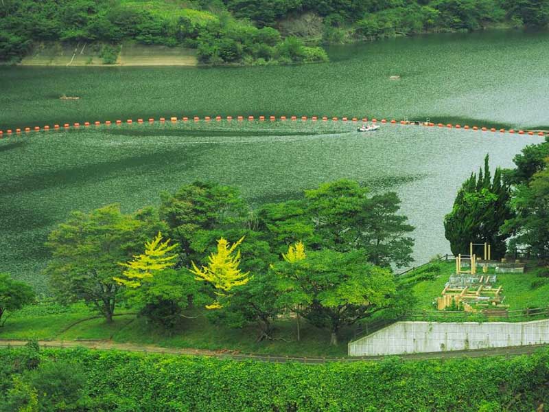 循环水总磷偏高的原因