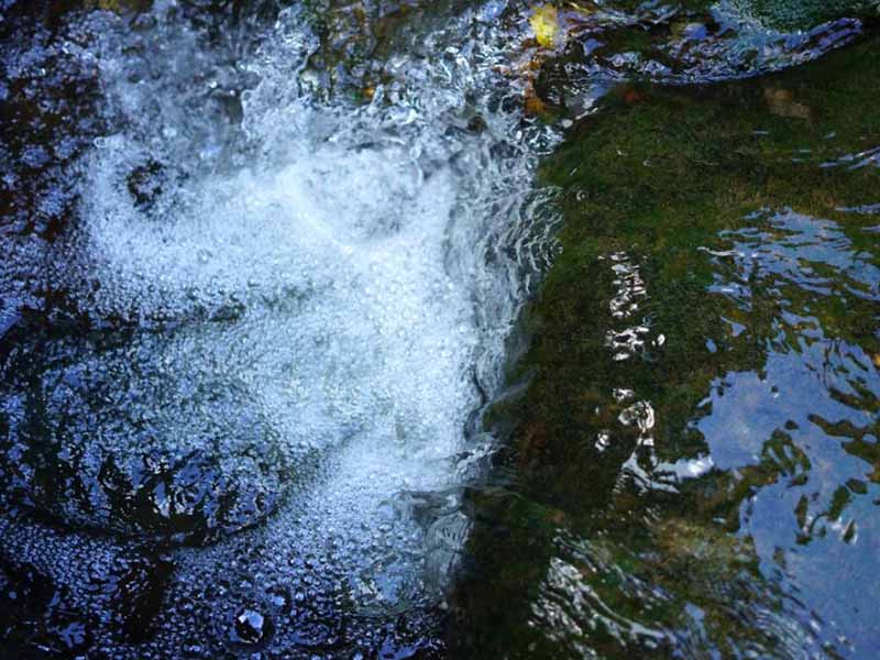 便携式多参数水质检测仪传感器维护