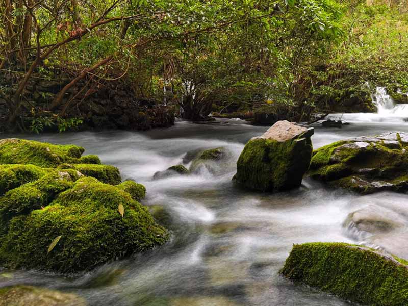 总磷测定仪检测原理