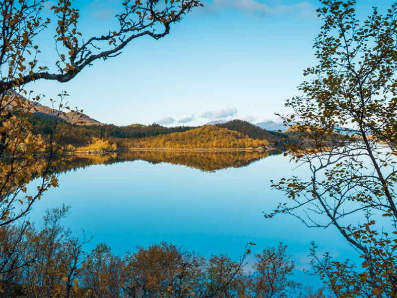 污水氨氮的测定方法