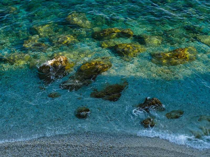 水中细菌检测方法