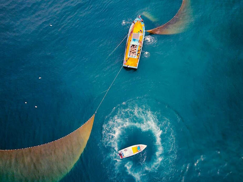 高精度溶解氧分析仪厂家及应用