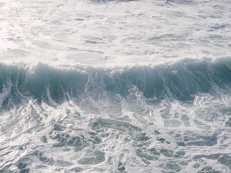 氨氮自动监测仪工作原理