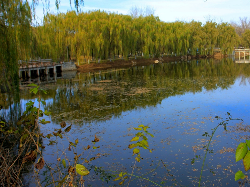 ORP在污水处理中的应用