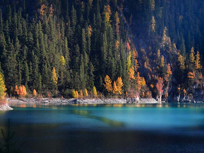 水质六价铬检测仪类型与功能