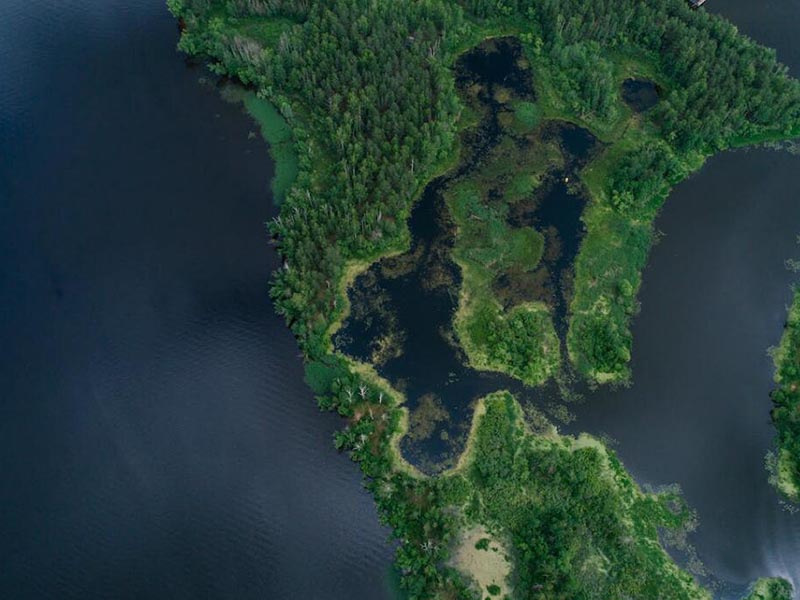 水质在线监测系统在水产养殖中的作用