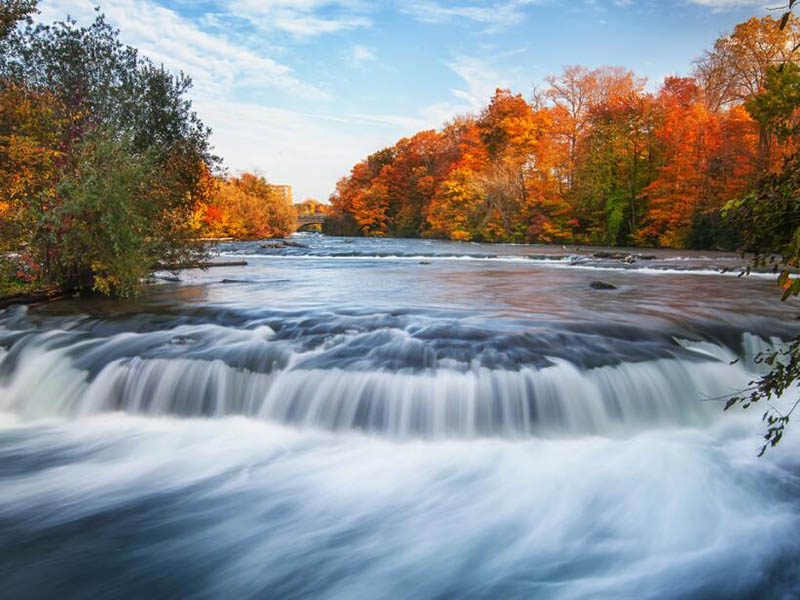 溶解氧的来源与消耗（影响溶解氧含量的因素）