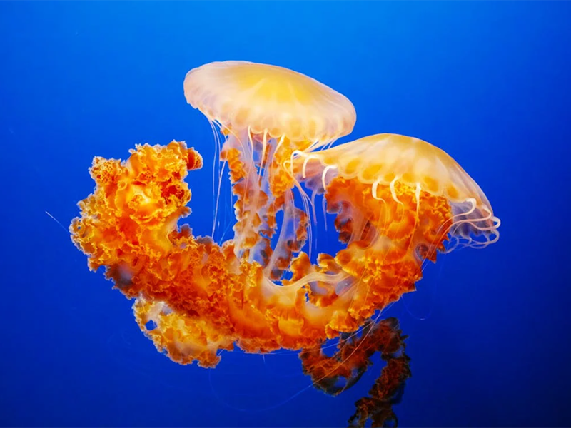 多参数水质在线分析仪的安装规范