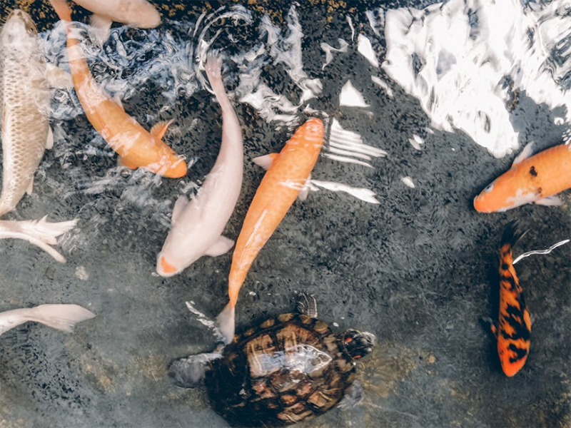 【汇总】常用的水质检测仪器有哪些？