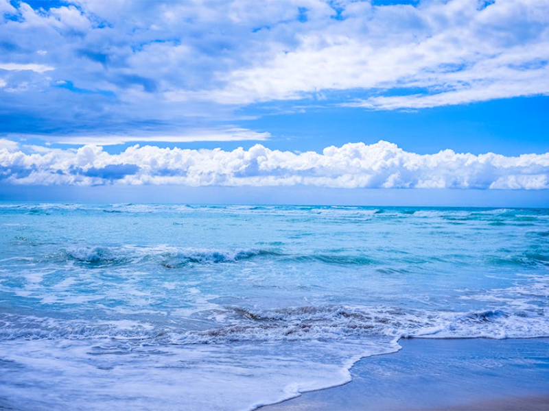 压差法BOD测定仪检测流程