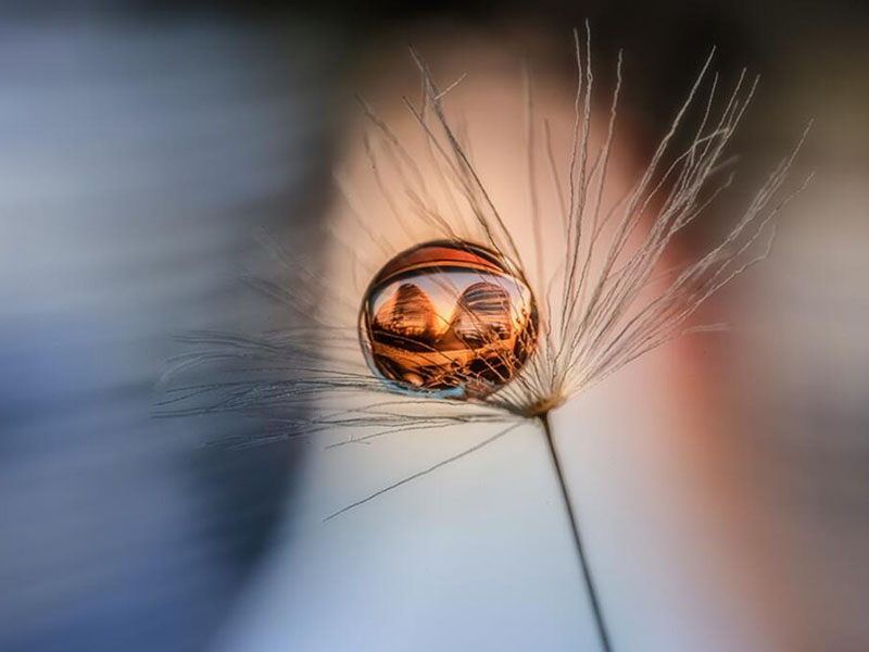 锅炉水中铁离子检测标准