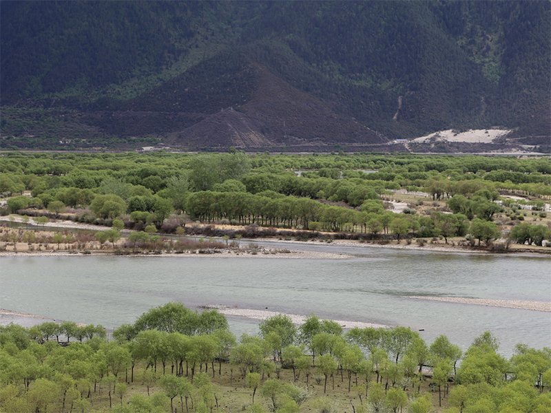 水体硫化氢危害与控制措施