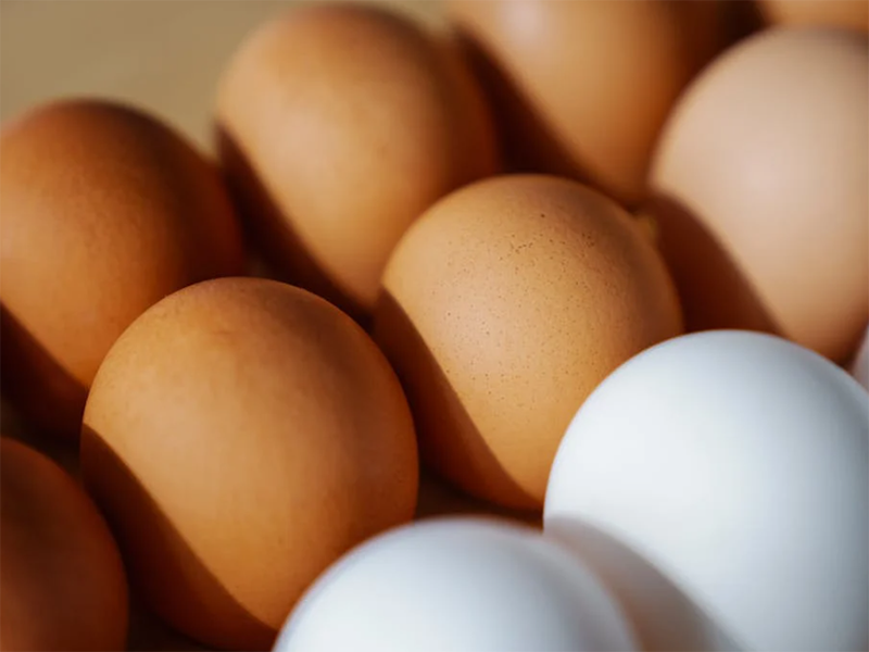 鸡蛋兽药残留检测仪优势特点